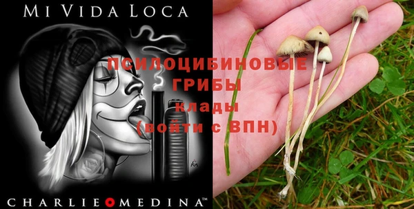 МДПВ Наволоки