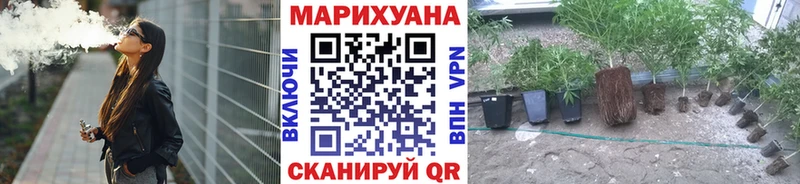 Канабис Bruce Banner  Купить где  Камбарка 